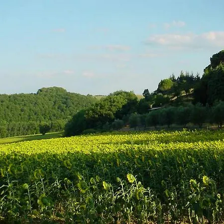 Podere Caldaruccio La Pineta For 18 People Hotel Ramazzano - Le Pulci