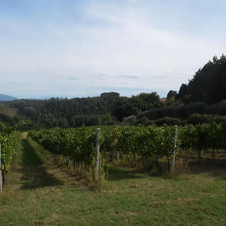 Podere Caldaruccio La Pineta For 18 People Hotel 4*