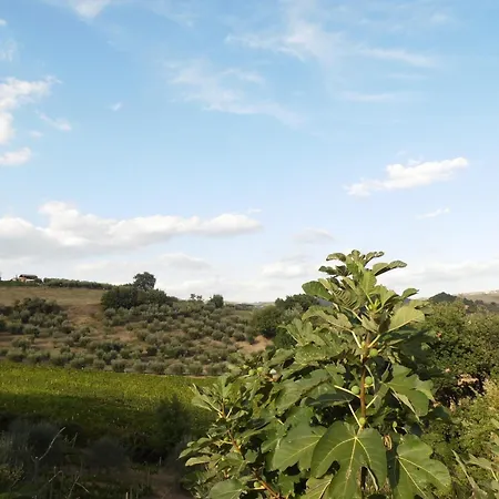 Podere Caldaruccio La Pineta For 18 People Ramazzano - Le Pulci