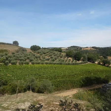 Podere Caldaruccio La Pineta For 18 People Hotel 4*