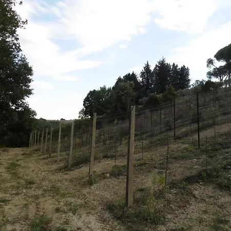 Podere Caldaruccio La Pineta For 18 People 4* Ramazzano - Le Pulci