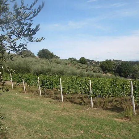 Hotel Podere Caldaruccio La Pineta For 18 People Ramazzano - Le Pulci